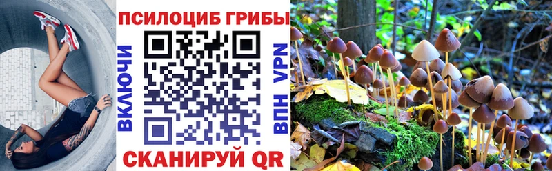Галлюциногенные грибы мухоморы Заозёрск